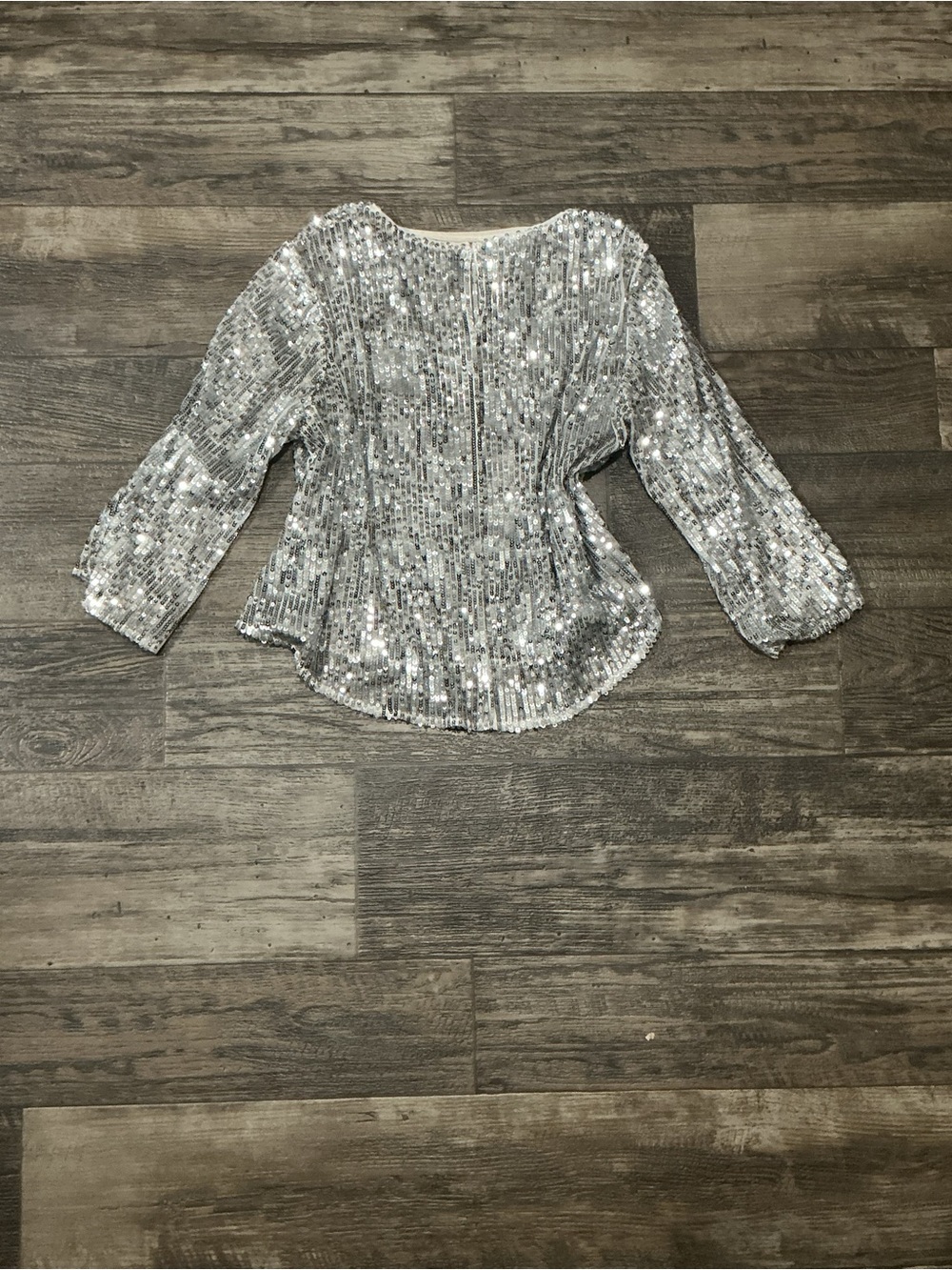 Zara Silver Sequin Long Sleeve Blouse